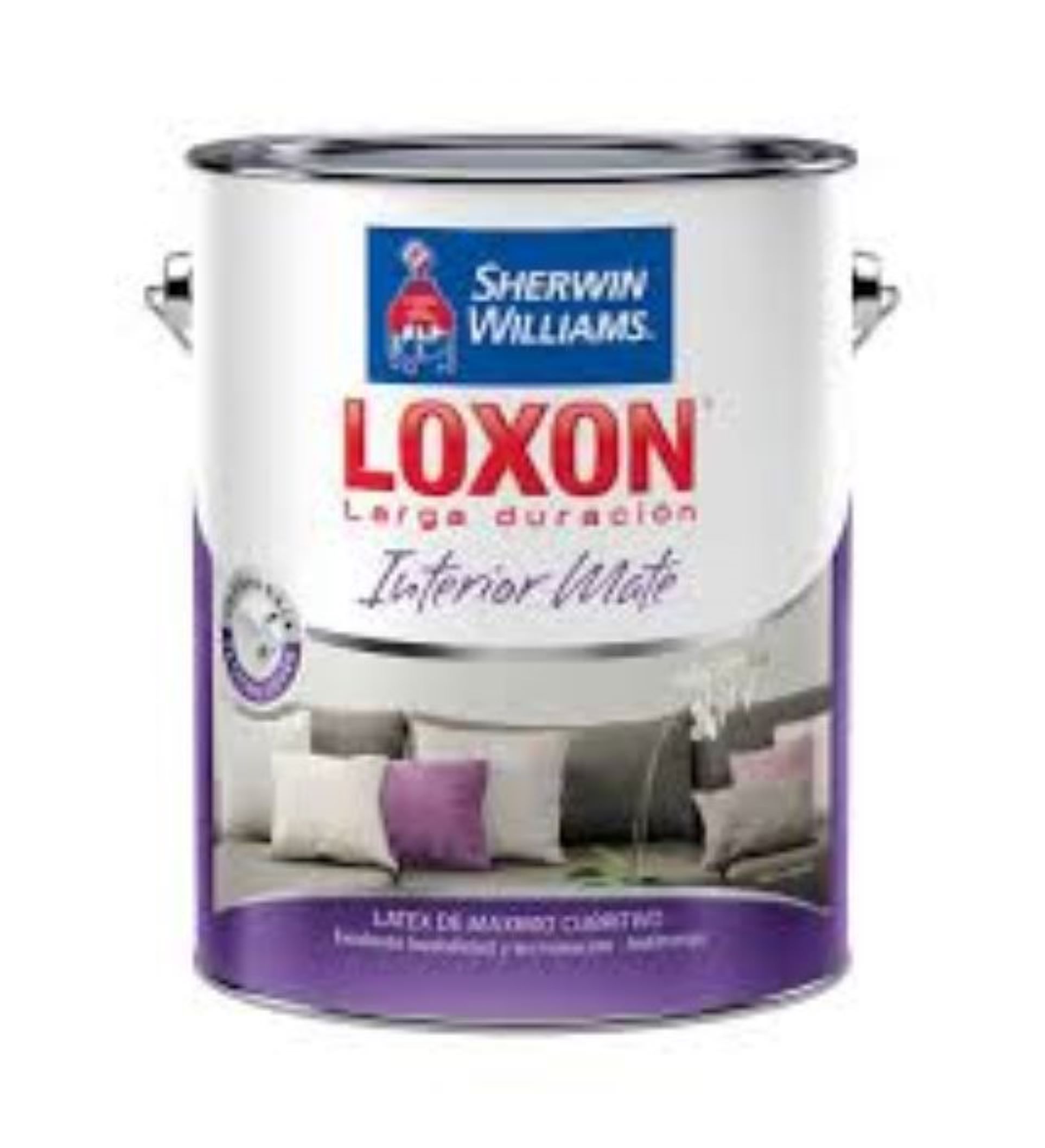 Loxon LD Satinado Todo Color Mendoza