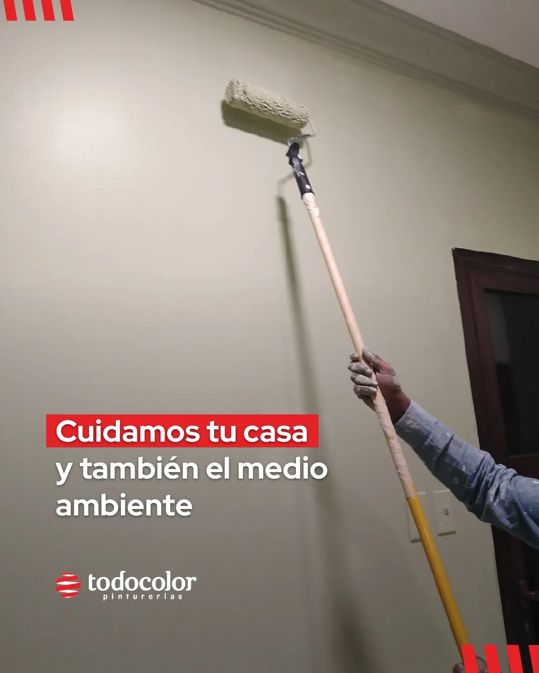 Combo Wall con rodillo ecol&oacute;gico de regalo - Todo Color Mendoza